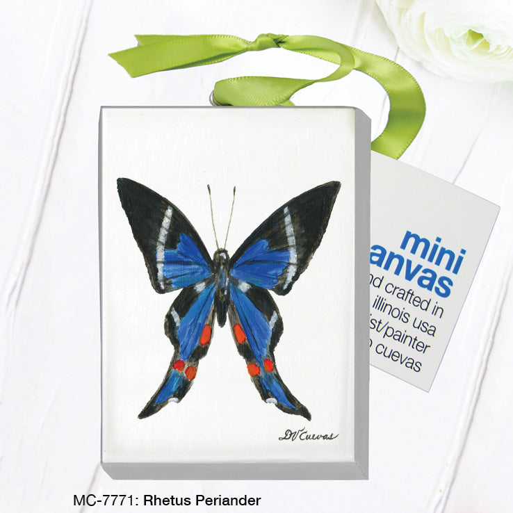 Rhetus Periander, Mini Canvas (MC-7771A)