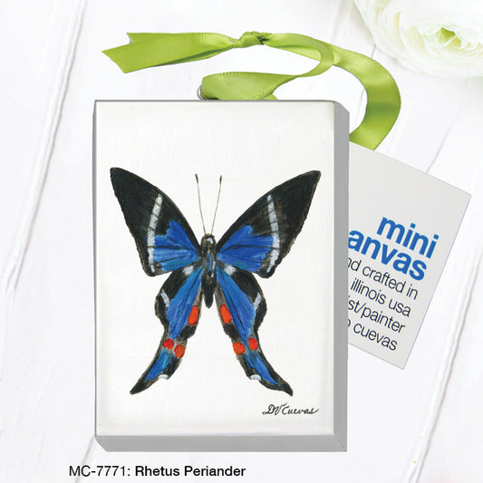 Rhetus Periander, Mini Canvas (MC-7771A)