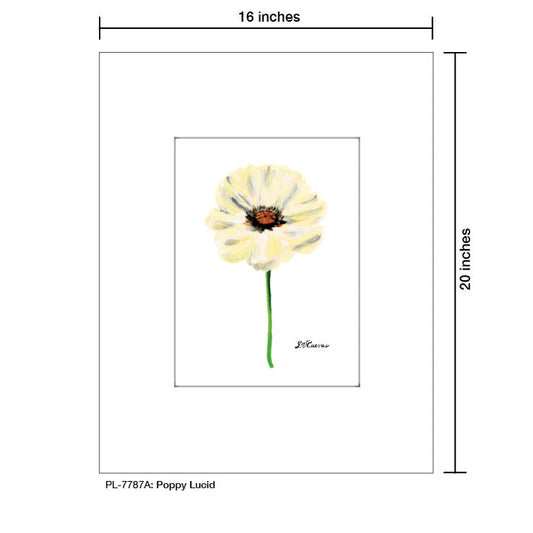 Poppy Lucid, Print (#7787A)