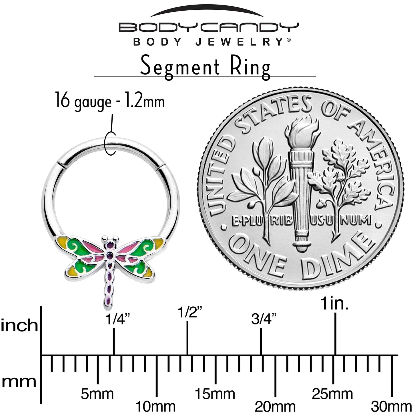 16G 3/8 Dragonfly Color Hinged Segment Ring