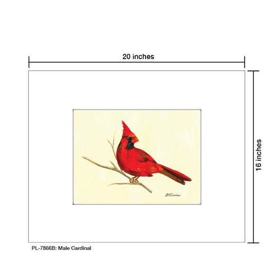 Male Cardinal, Print (#7866B)