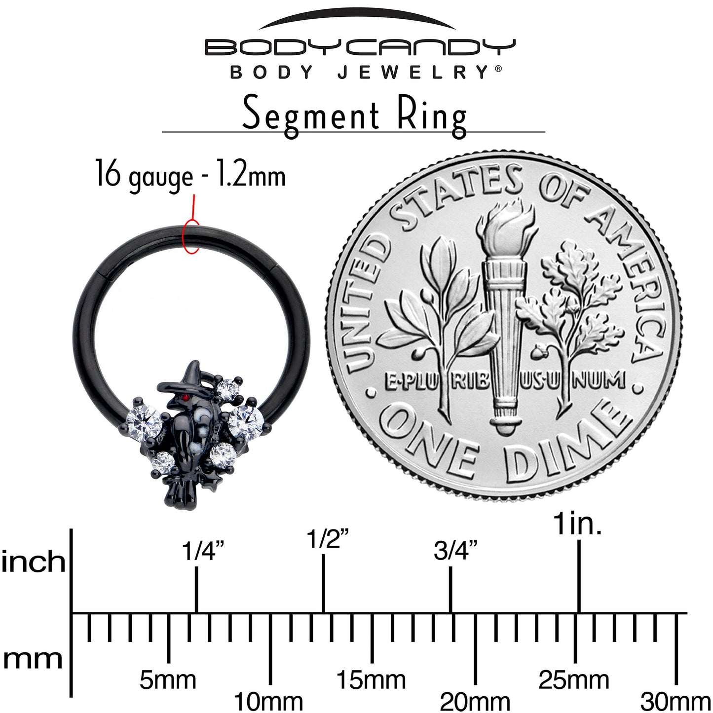 16G 3/8 Clear CZ Gem Black Raven Witch Hinged Segment Ring