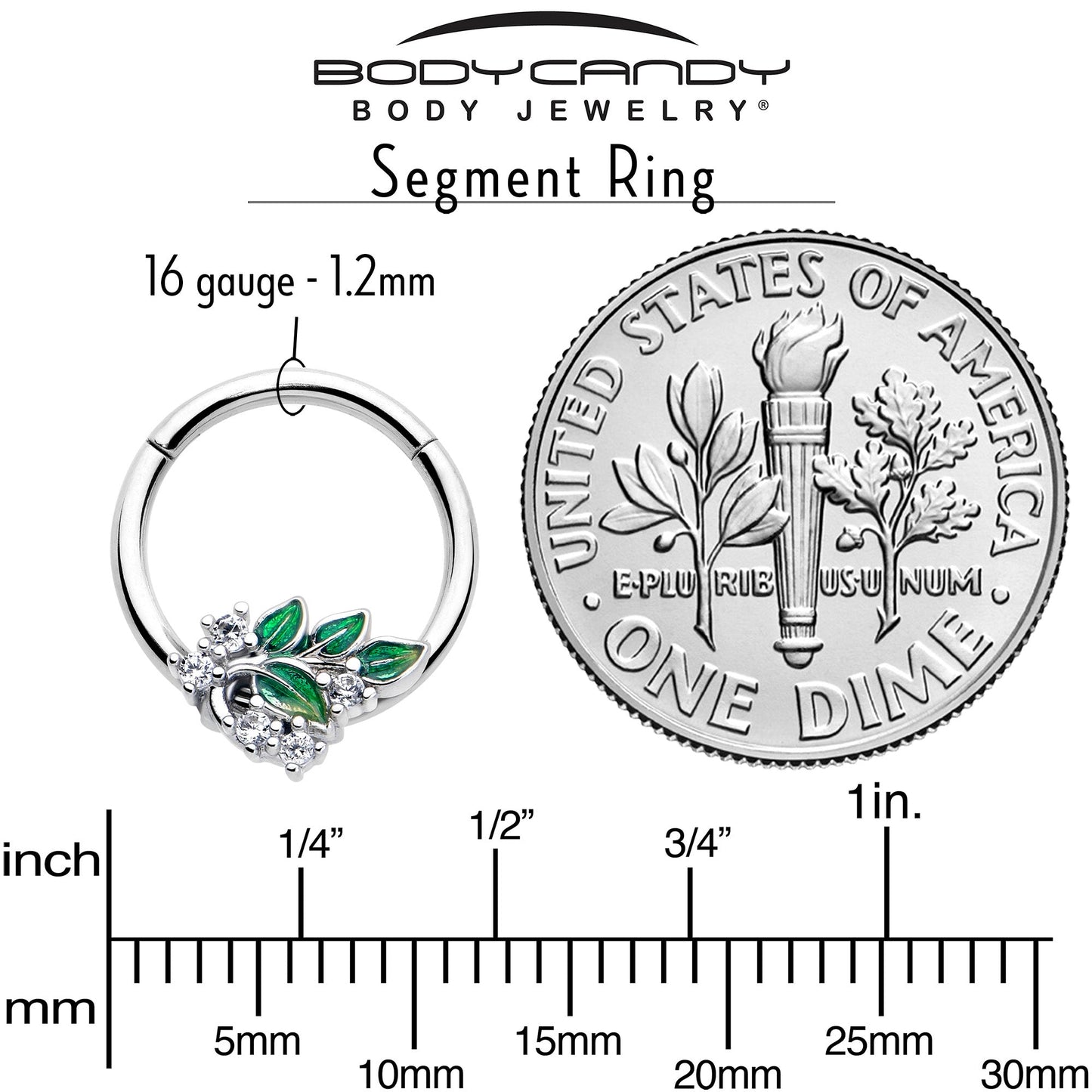 16G 3/8 Clear CZ Gem Morning Leaves Hinged Segment Ring