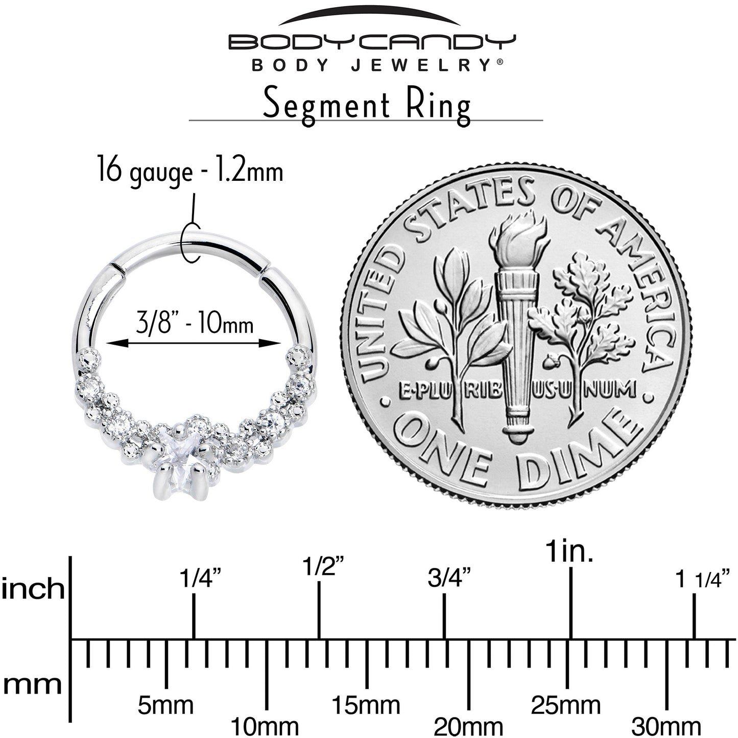 16G 3/8 Clear CZ Gem Starfish Supreme Hinged Segment Ring