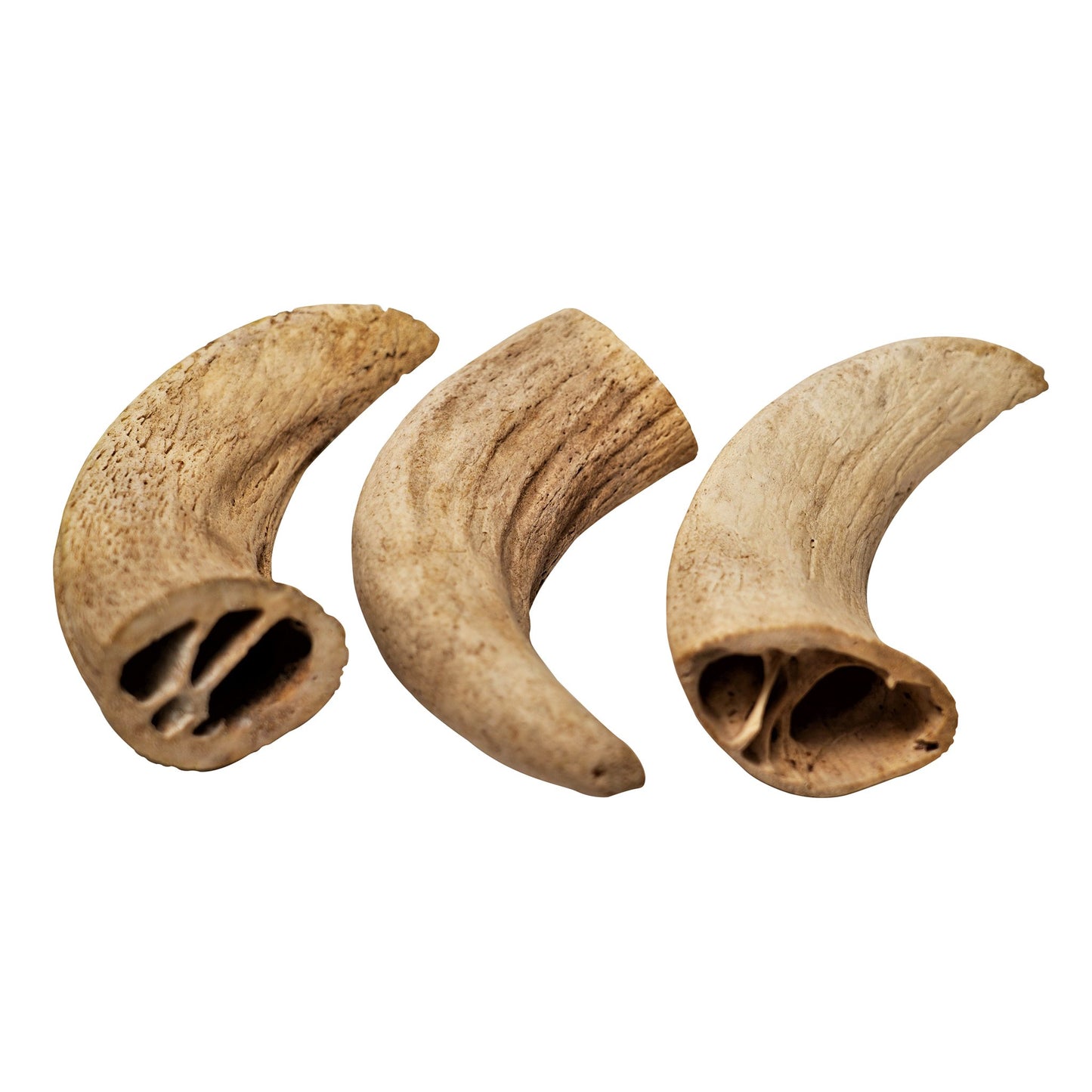 Water Buffalo Horn Core Dog Chews-2 Count-10 oz | Family Pet | Kitchen + Metal