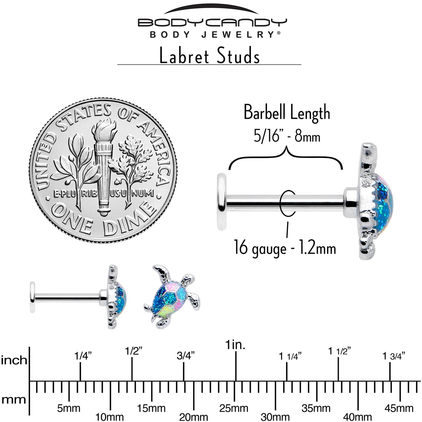 16G 5/16 Glitter Turtle Labret Monroe Tragus