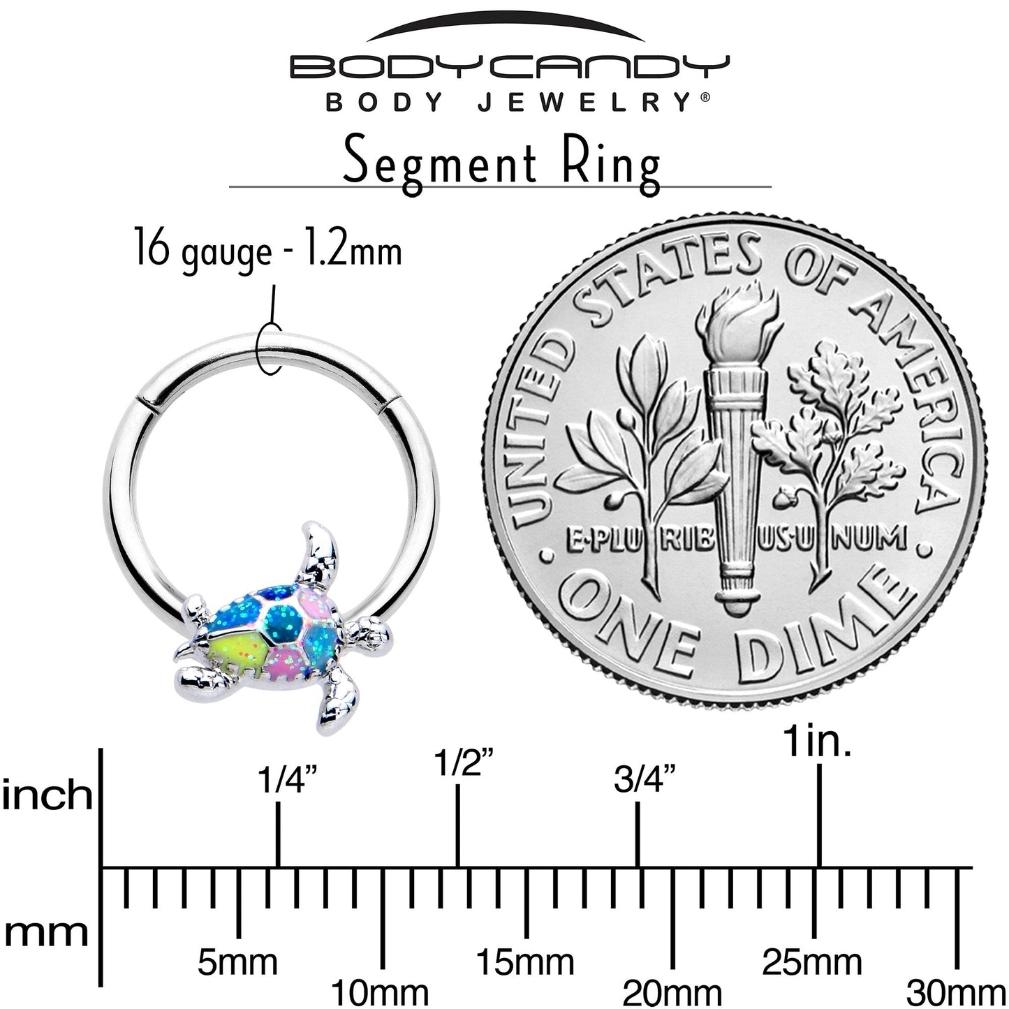 16G 3/8 Glitter Turtle Hinged Segment Ring