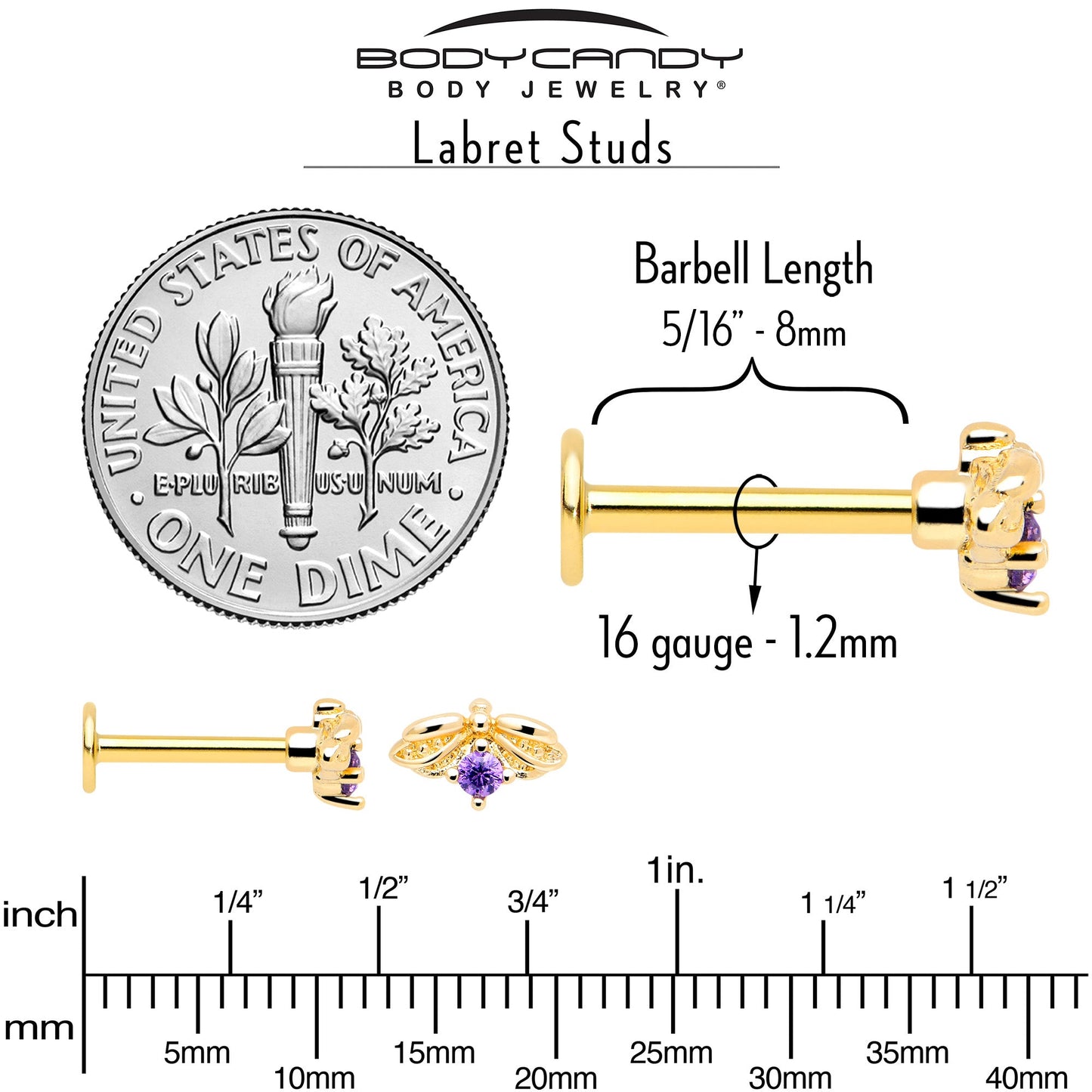 16G 5/16 Purple Gem Gold Tone Beauty Bug Labret Monroe Tragus