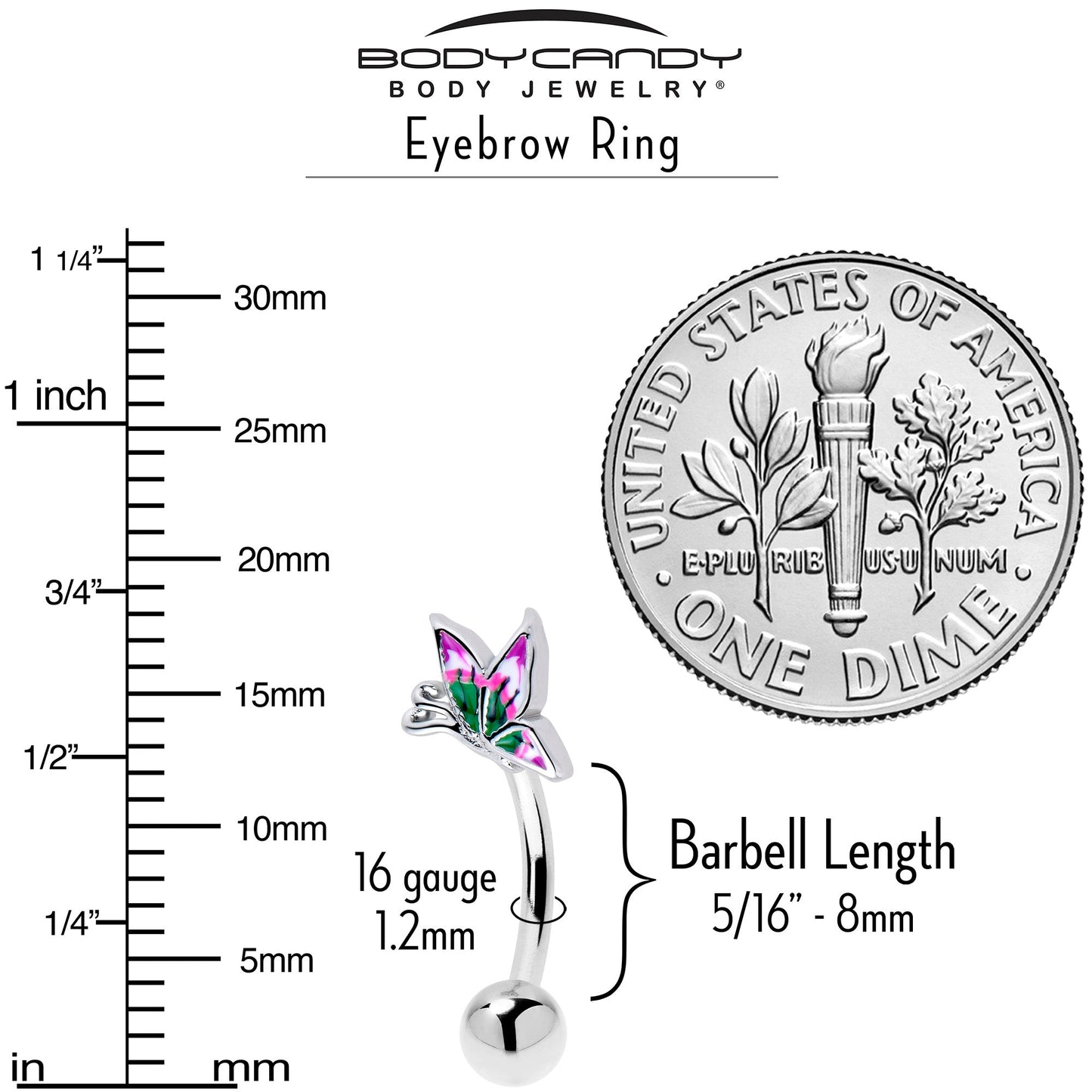 16G 5/16 Profile Butterfly Curved Eyebrow Ring