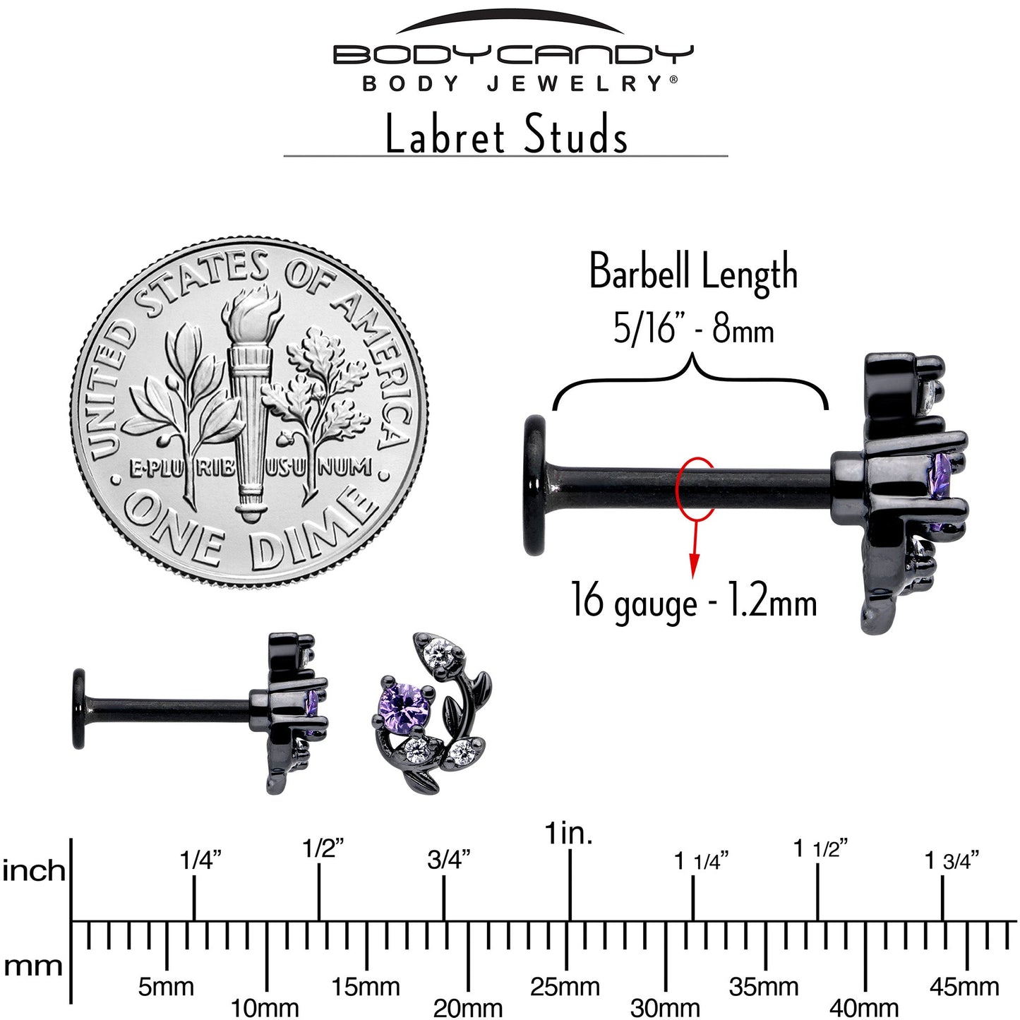 16G 5/16 Purple Clear Gem Black Twining Vine Labret Monroe Tragus