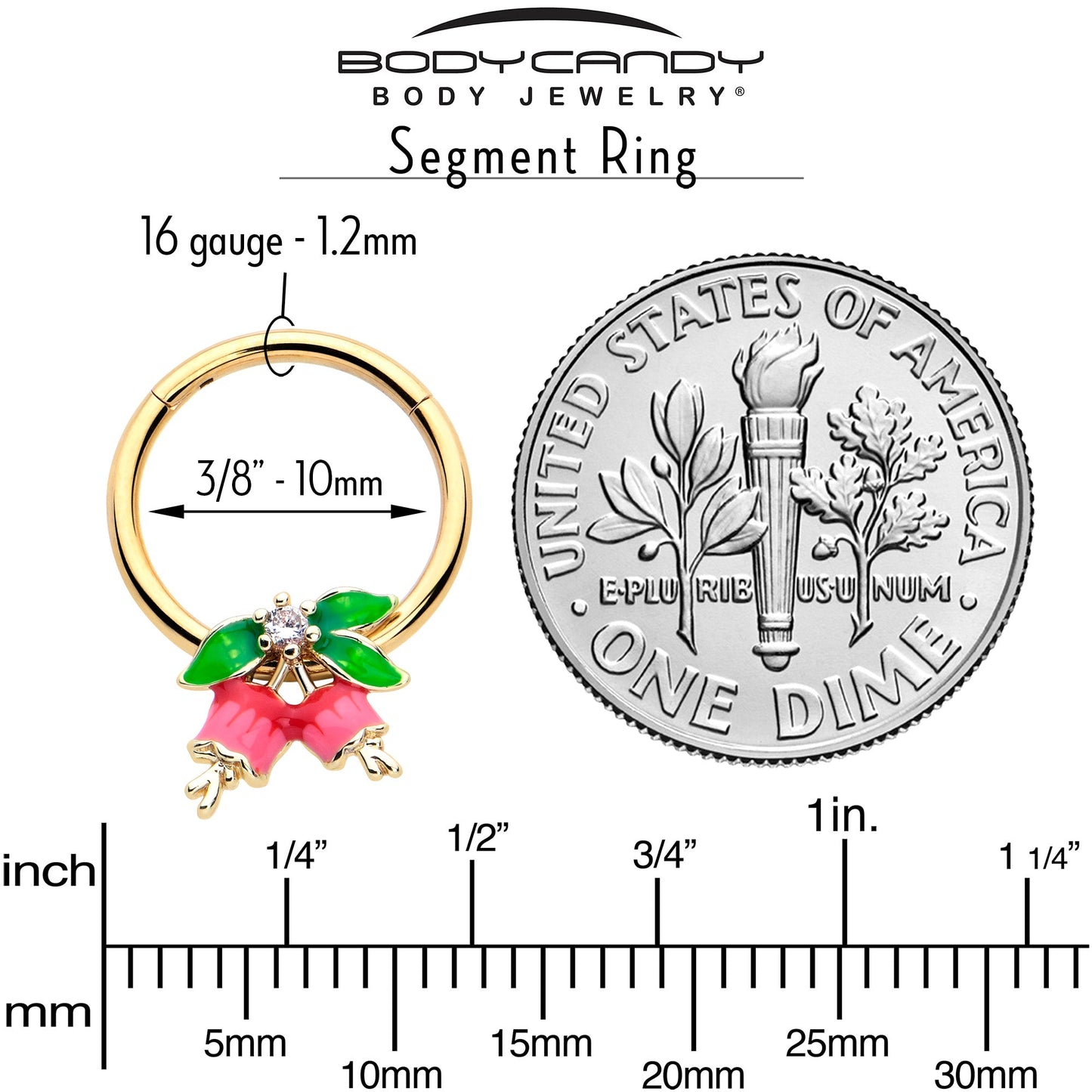 16G 3/8 Clear CZ Gem Gold Tone Bell Flowers Hinged Segment Ring