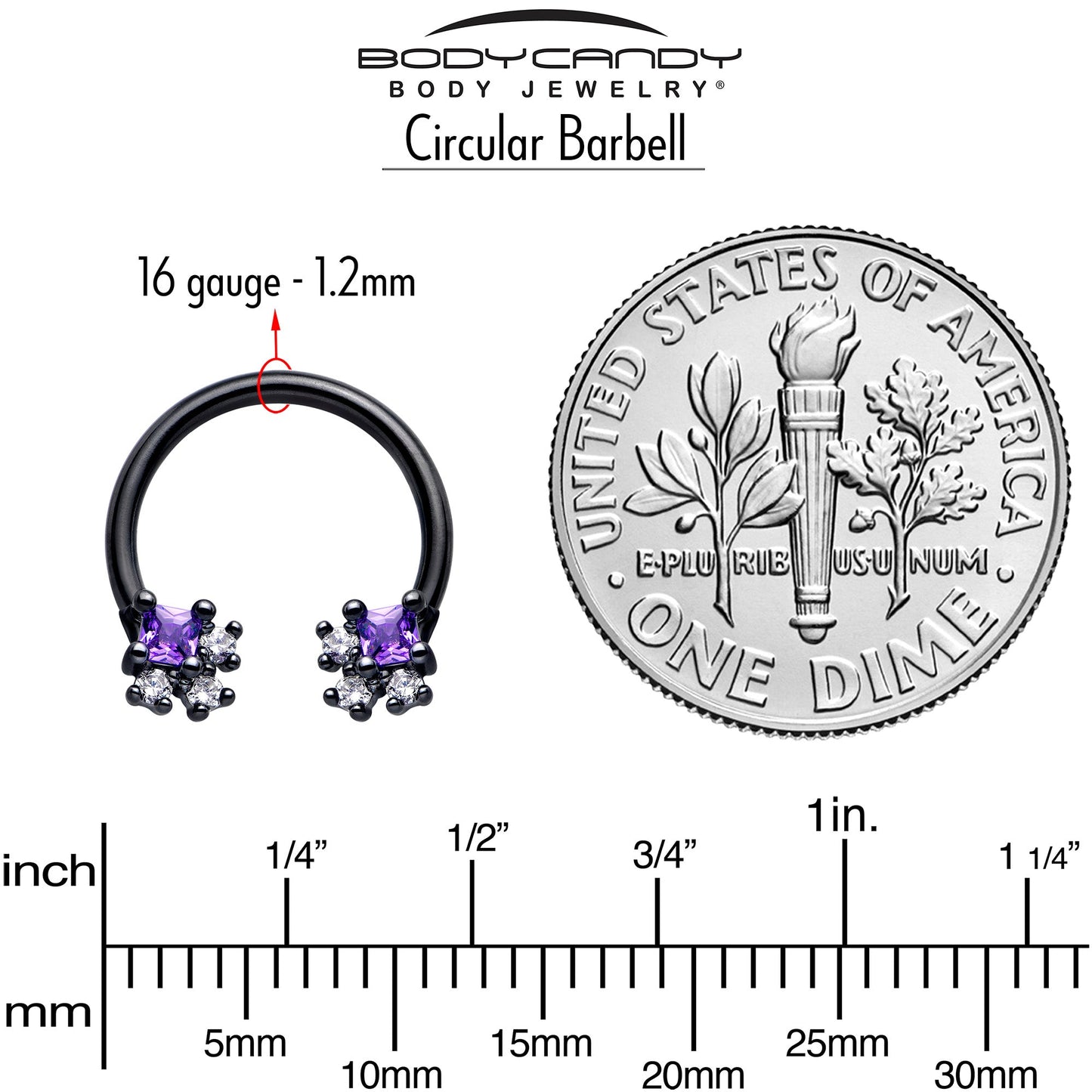 16G 3/8 Purple CZ Gem Black Rhombus Riot Horseshoe Circular Barbell