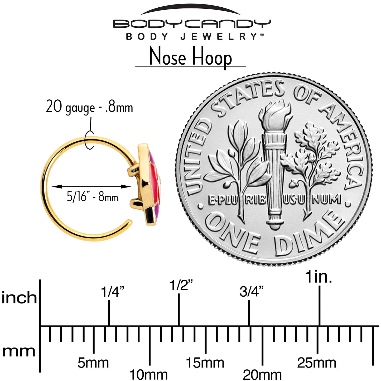 20G 5/16 Gold Tone Tropical Fish Nose Hoop Set of 3