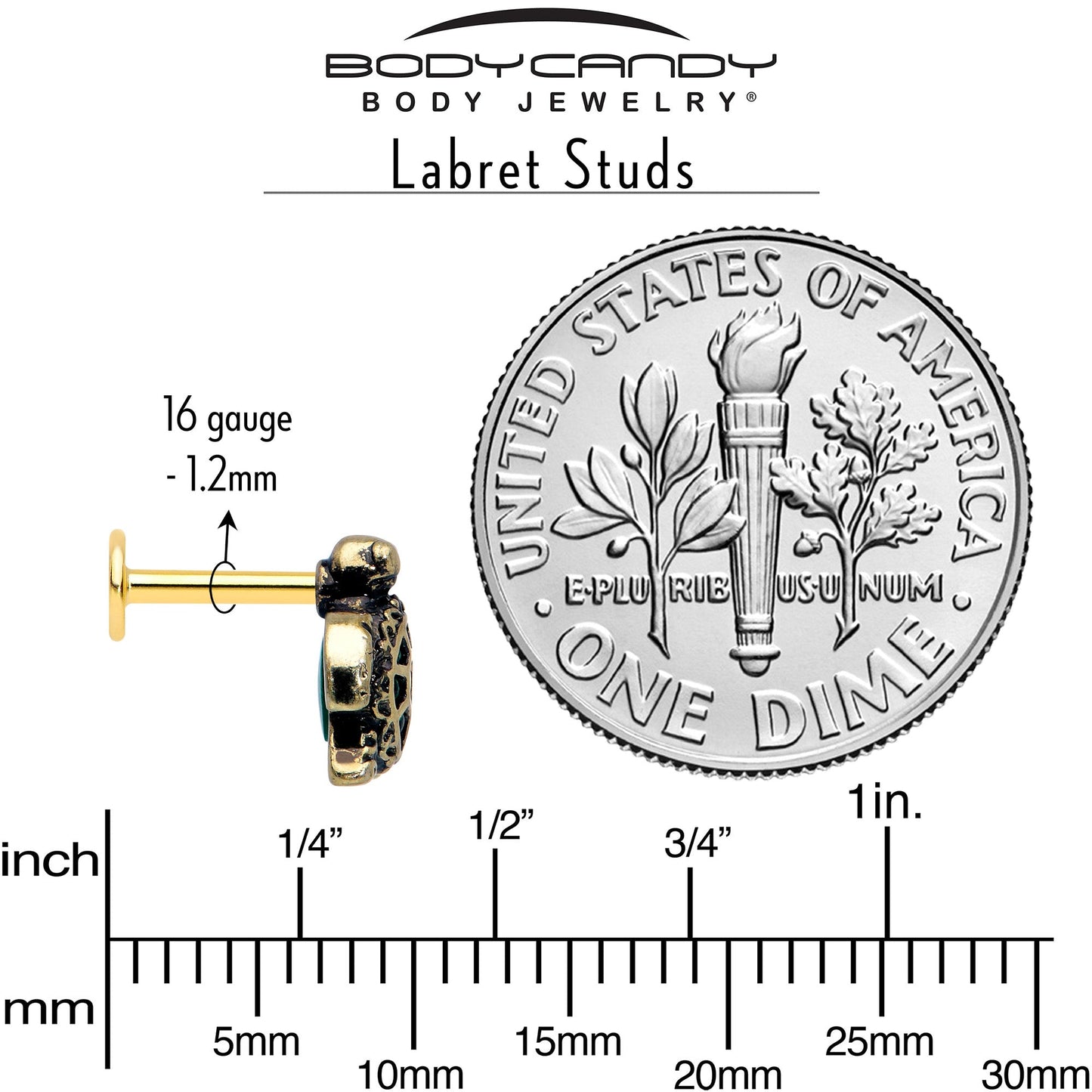 16G Sea Turtle Flat Back Earring Set Internally Threaded 3 Pack