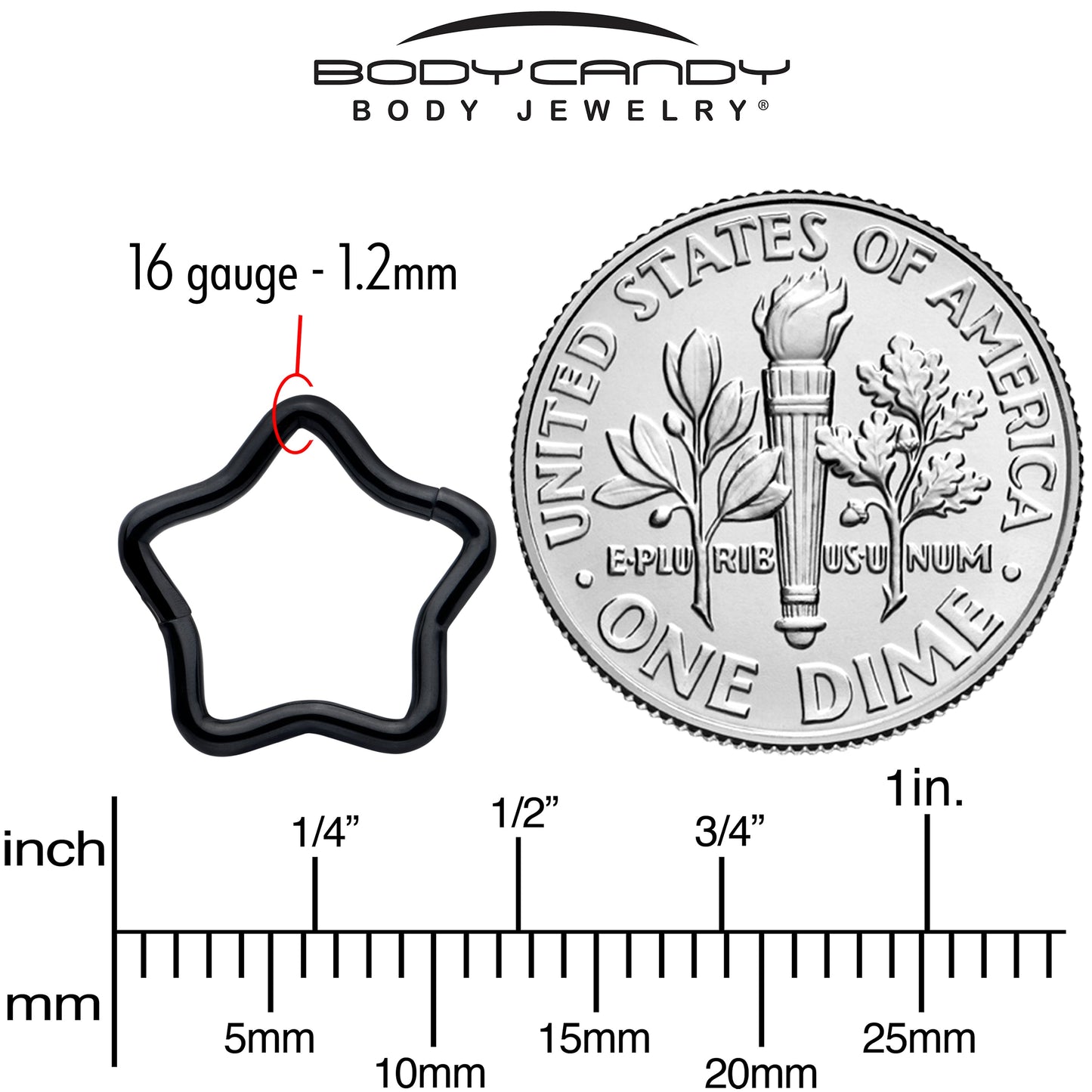 16G 5/16 Black Star Shaped Hinged Segment Ring