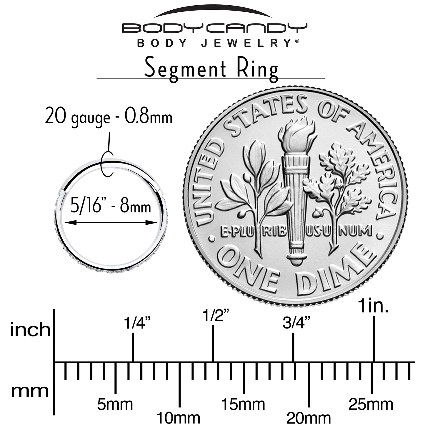 20G 5/16 Clear Cubic Zirconia Forward Facing Hinged Segment Ring