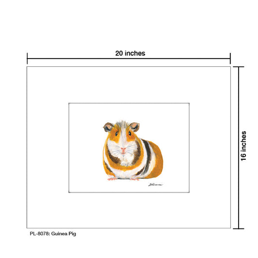 Guinea Pig, Print (#8078C)