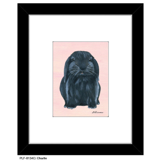 Charlie, Print (#8134C)