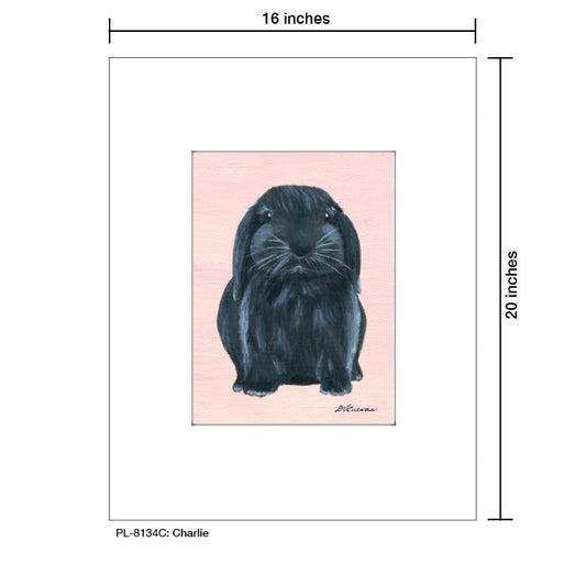 Charlie, Print (#8134C)