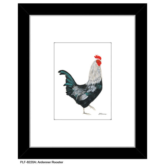 Ardenner Rooster, Print (#8220A)