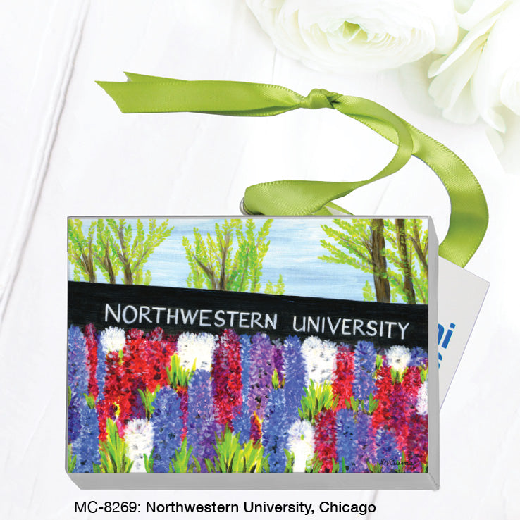 Northwestern University, Chicago, Mini Canvas (MC-8269A)