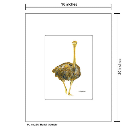 Racer Ostrich, Print (#8422A)
