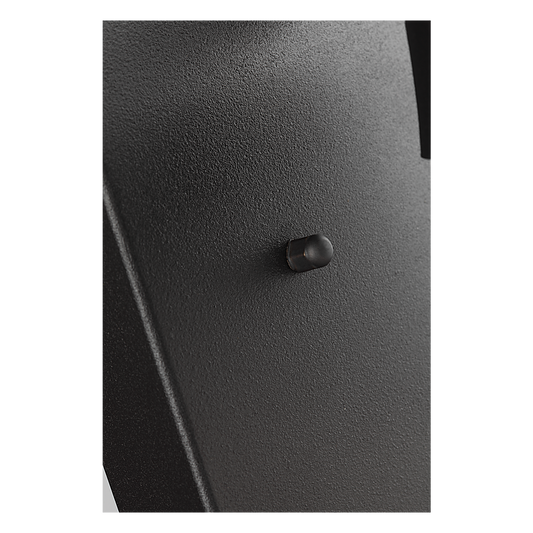 Renville 1-Light Large Wall Lantern