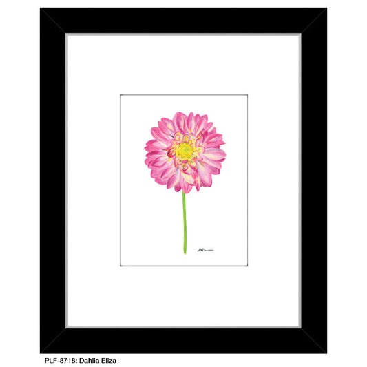 Dahlia Eliza, Print (#8718Q)