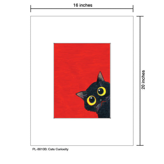 Cats Curiosity, Print (#8810B)