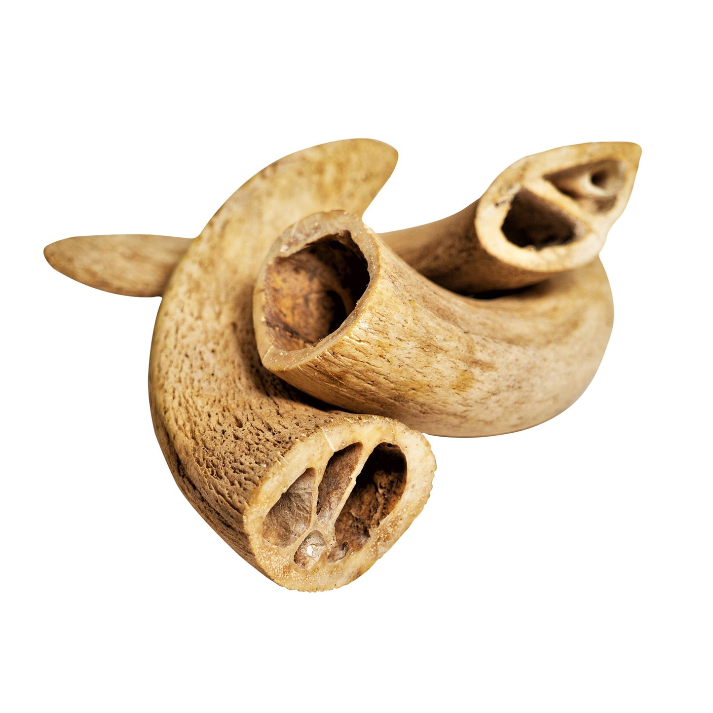 Water Buffalo Horn Core Dog Chews-2 Count-10 oz | Family Pet | Kitchen + Metal