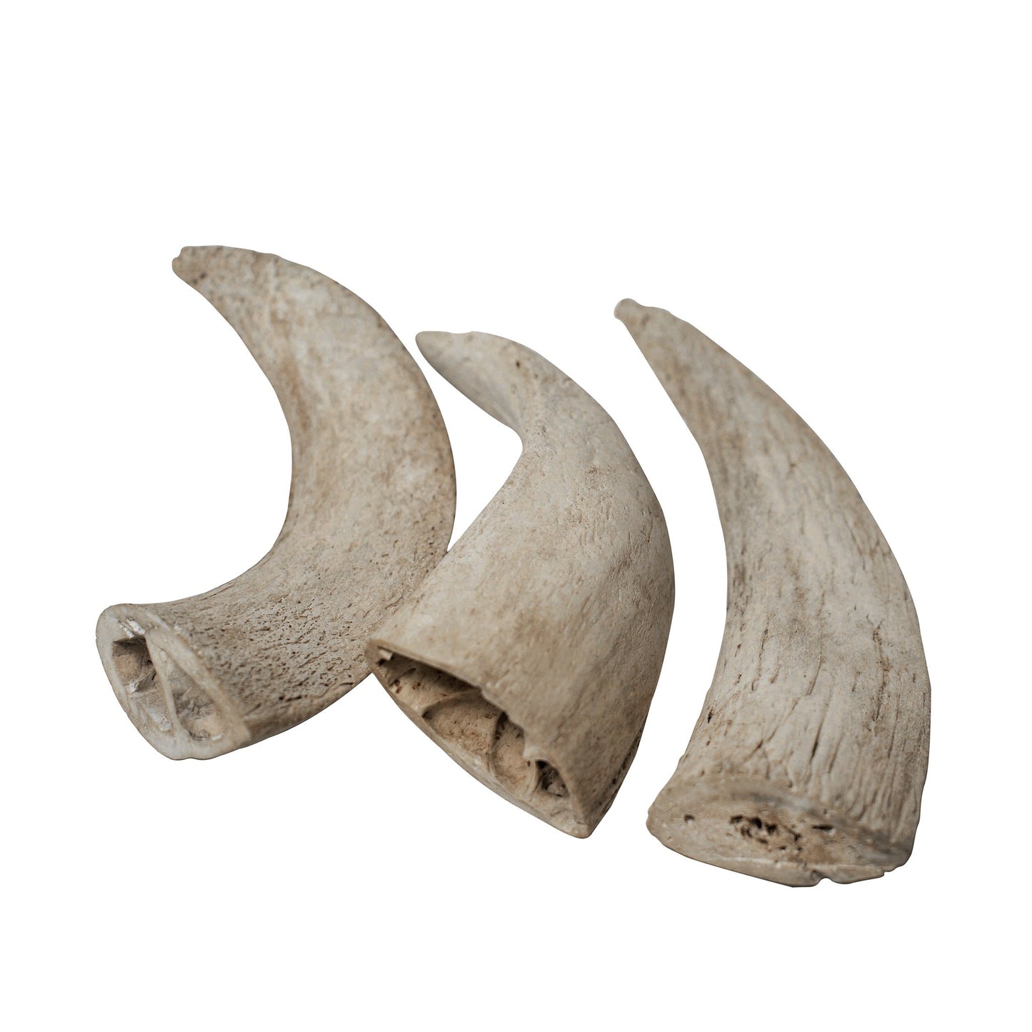 Water Buffalo Horn Core Dog Chews-2 Count-10 oz | Family Pet | Kitchen + Metal