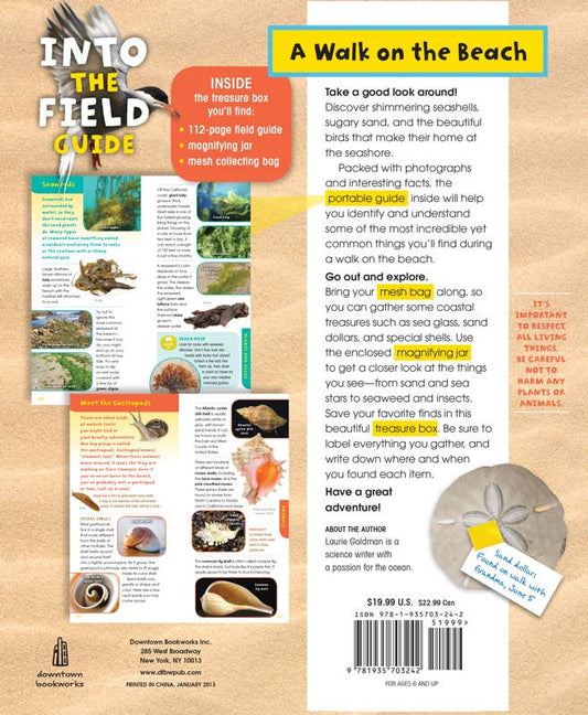 A Walk on the Beach – Boxed Kit