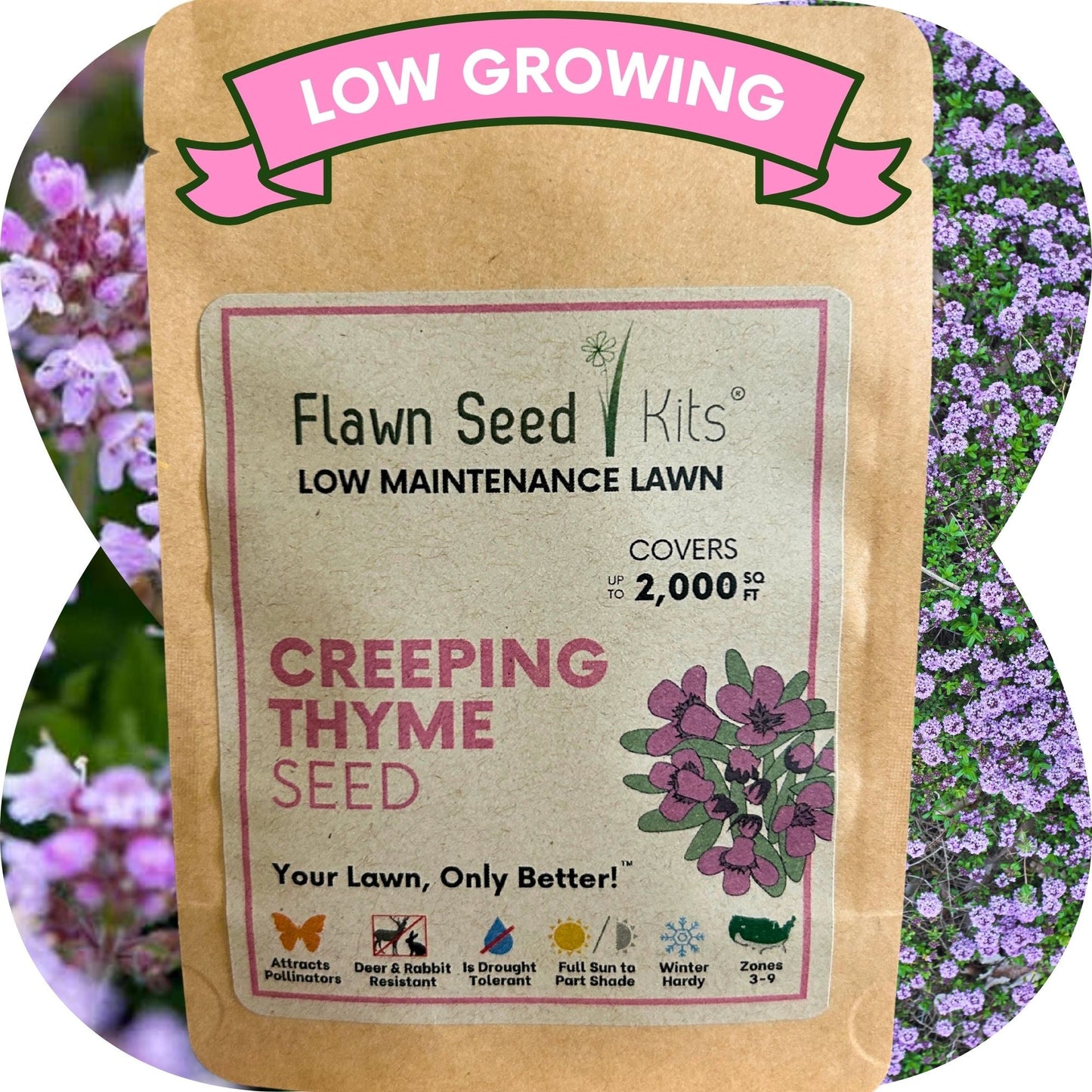 Creeping Thyme Seed Pouch
