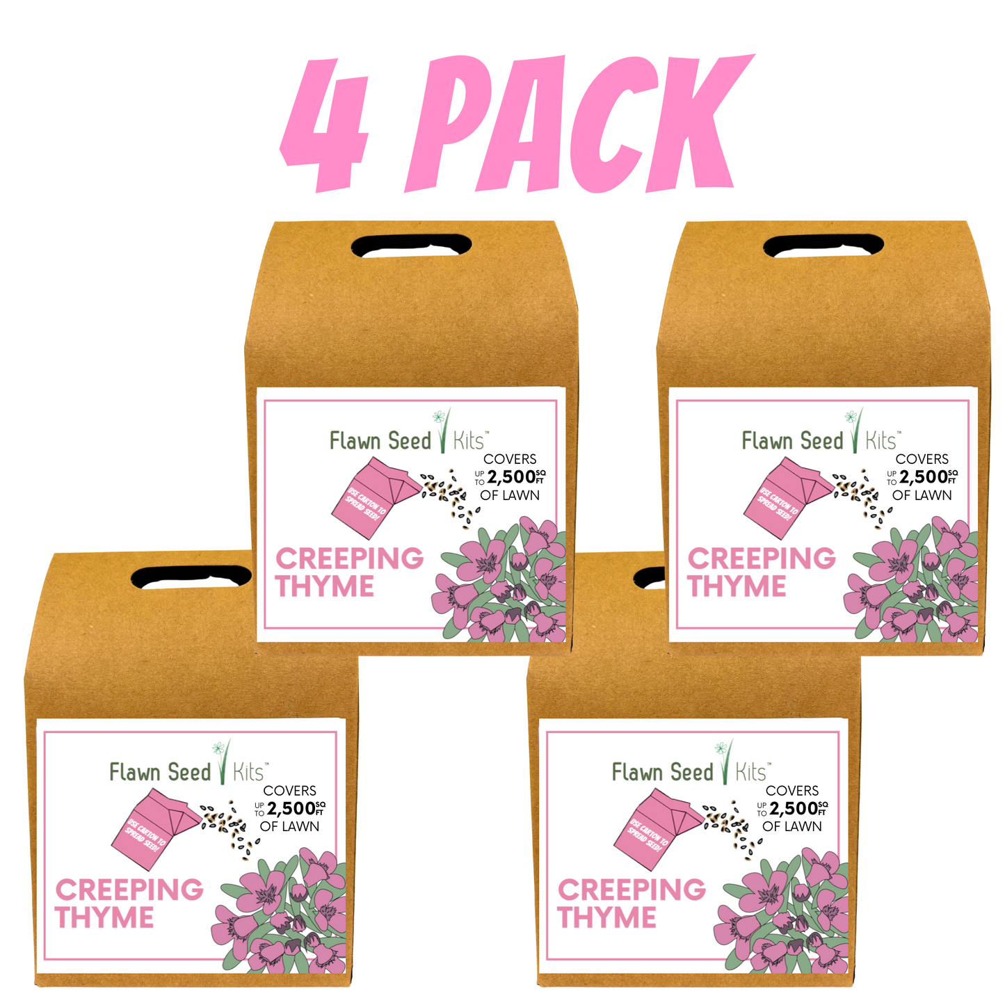 Creeping Thyme Eco-Friendly Seeding Kit