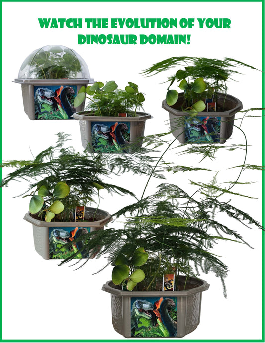 Dinosaur Domain Biosphere Terrarium