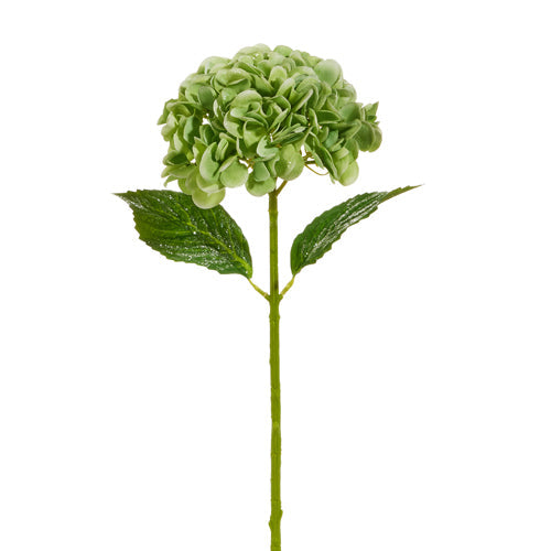 19" Iced Green Hydrangea Stem