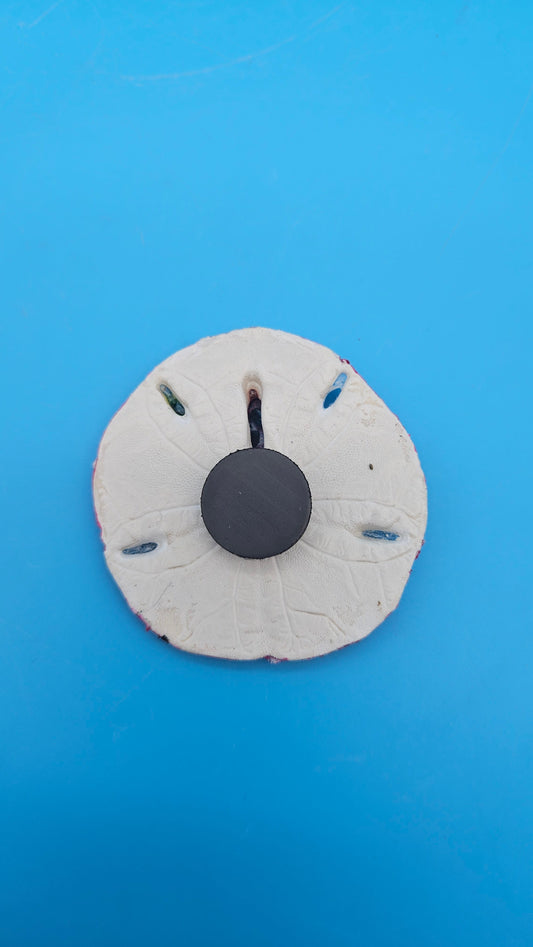 Handmade Port Aransas sand dollar magnet with flamingo design