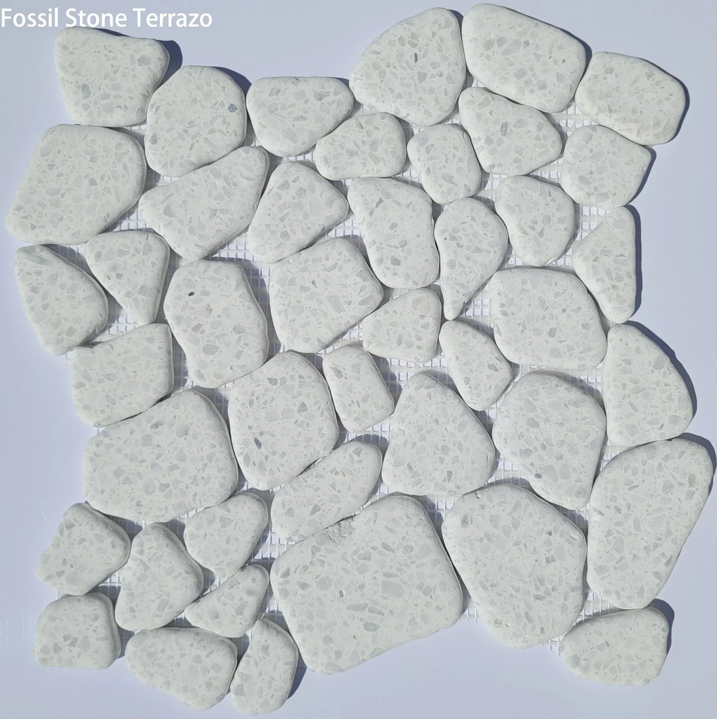 Fossil Stone Pebble Mosaic