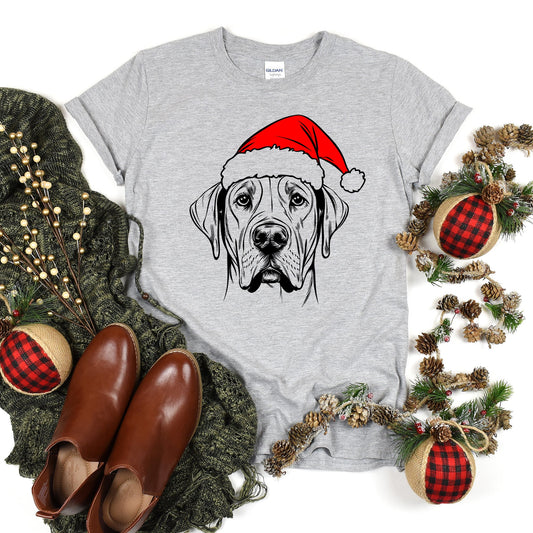 Great Dane, Santa, Dog, Christmas, Dog Lover, Pet T-Shirt Comfort Colors T-Shirt