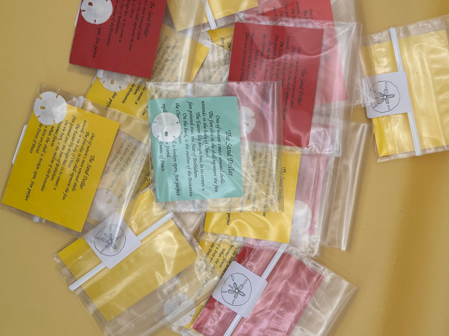 Small Sand Dollar with Legend Story Card – Single or Bulk Party Favors