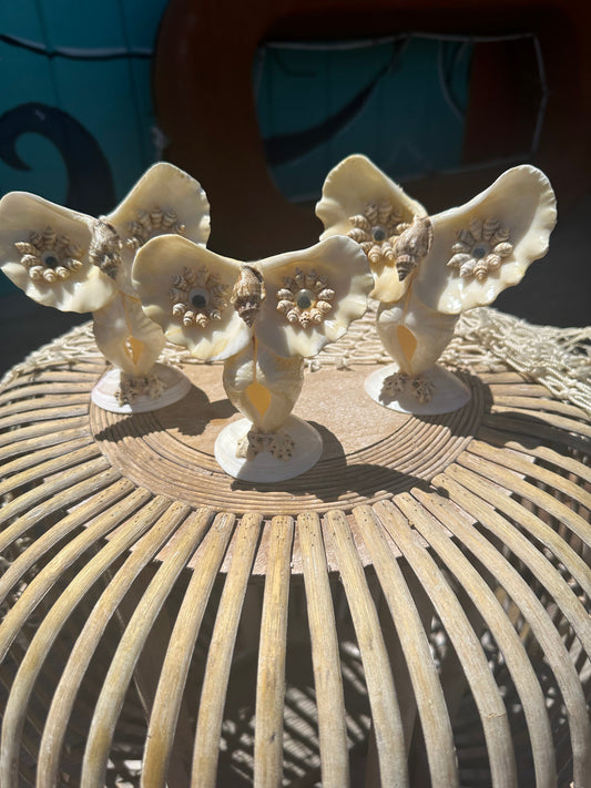 Vintage Seashell Owl- made out of mini 'giant' clams