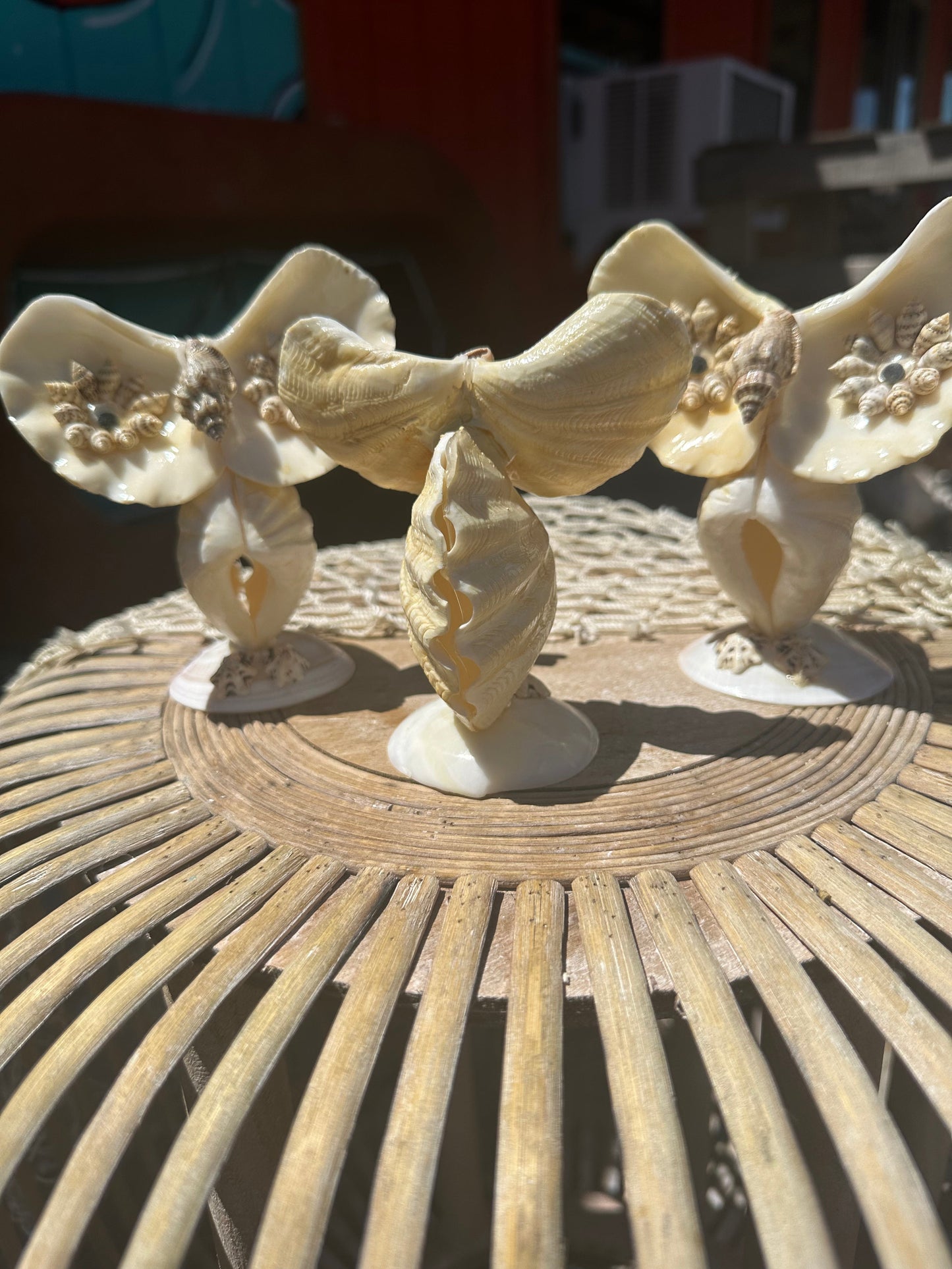 Vintage Seashell Owl- made out of mini 'giant' clams