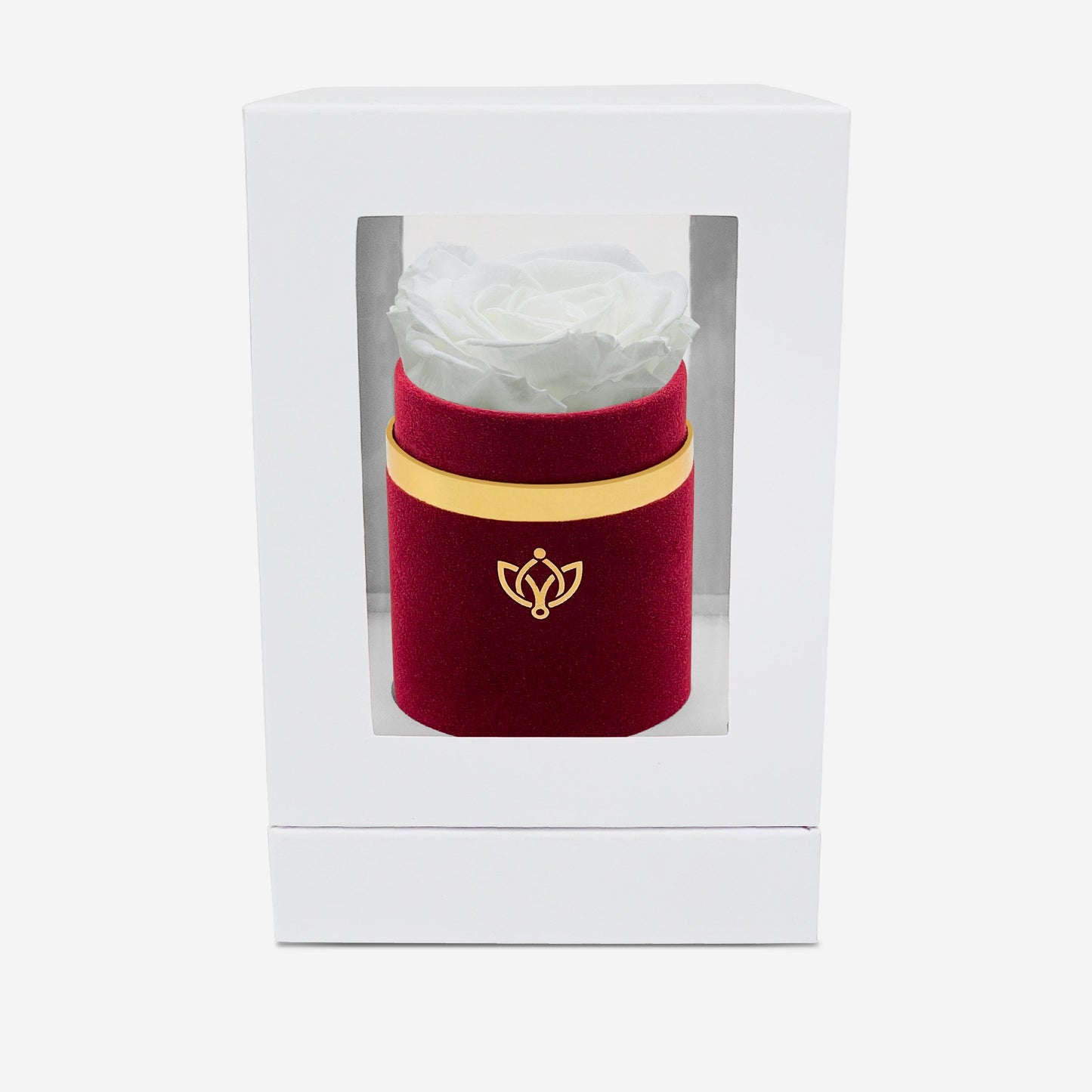 Single Bordeaux Suede Box | White Rose