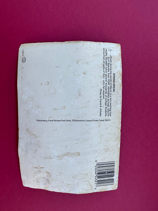 Vintage Spring Break Postcard