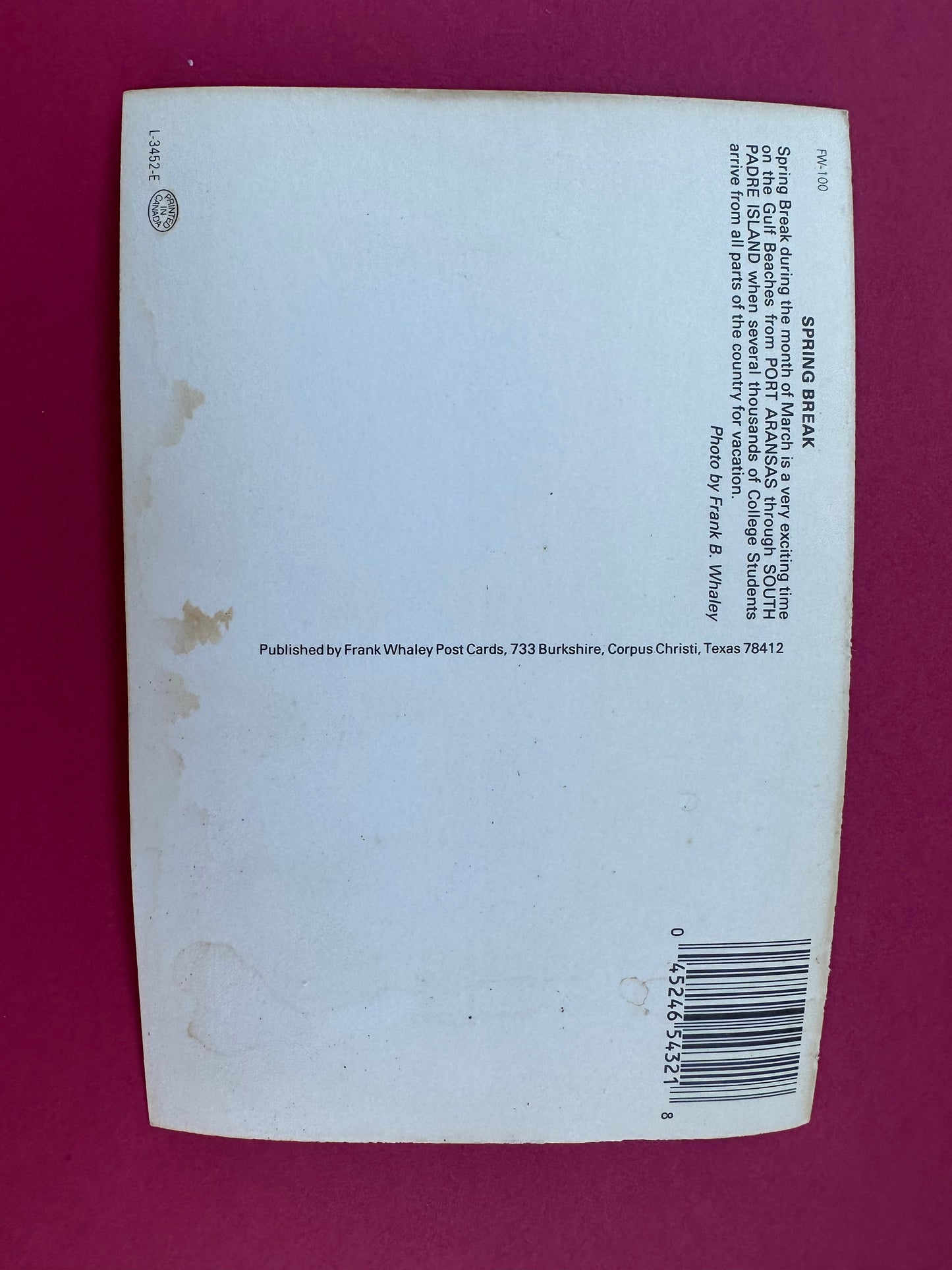 Vintage Spring Break Postcard