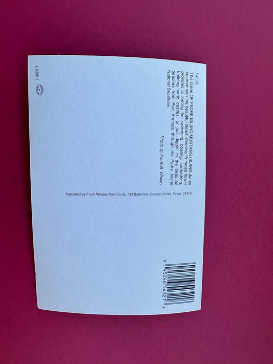 Vintage Beachscape Postcard