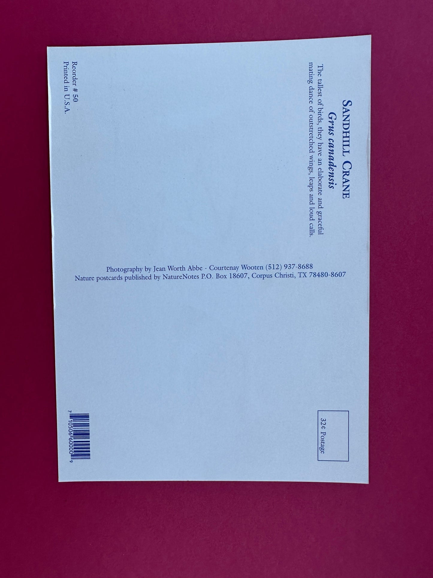 Vintage Sandhill Crane Postcard