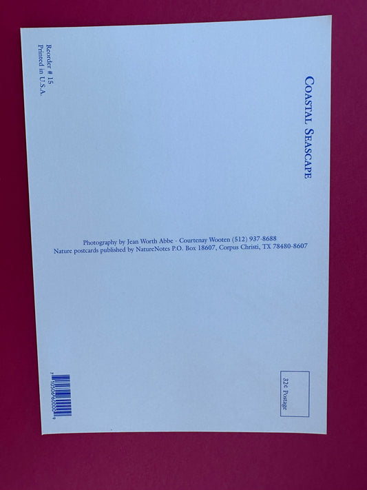 Vintage Coastal Seascape Postcard