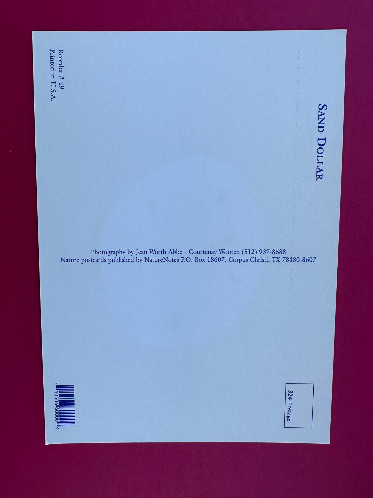 Vintage Sand Dollar Postcard