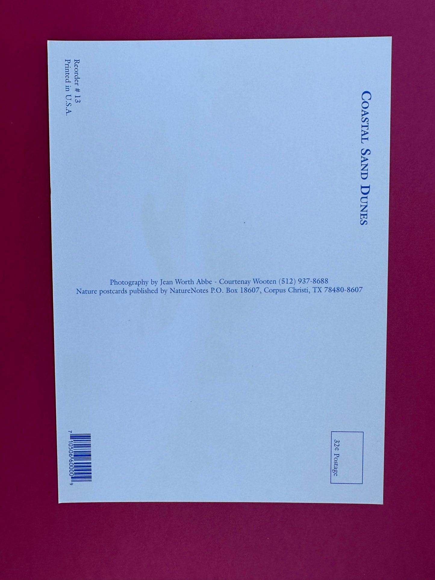 Vintage Coastal Sand Dunes Postcard